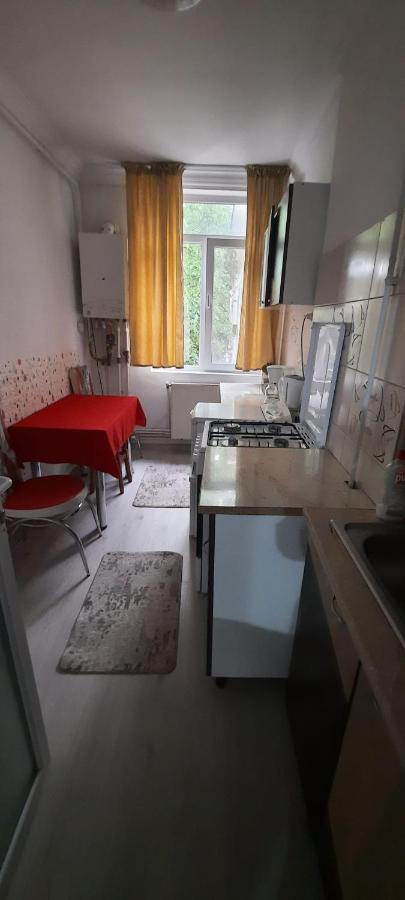 Apartament La Denis Bîrlad Exteriér fotografie
